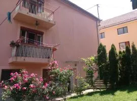 Apartmani Konta