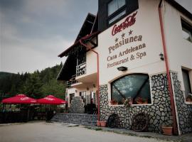 Casa Ardeleana，位于普雷代亚尔的酒店