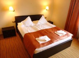 Hotel Restaurant Transilvania，位于札勒乌的酒店