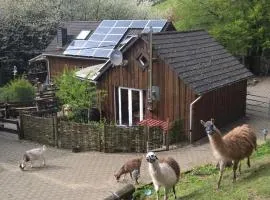Funny-Farm