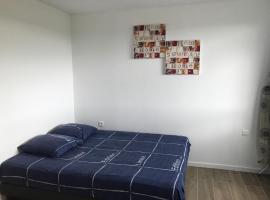 Appartement Futuroscope-P'，位于沙斯讷伊迪普瓦图的酒店