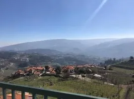 Douro vineyards and Mountains