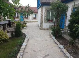 Casa Anica