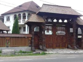 Pensiunea Denisa，位于Bîrsana的酒店