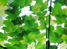 nino，位于鲁斯塔维的酒店