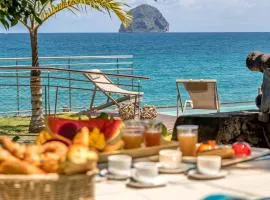 La Sirene du Diamant, villa de luxe sur la plage,18 personnes