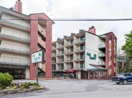 Oak Square Rentals
