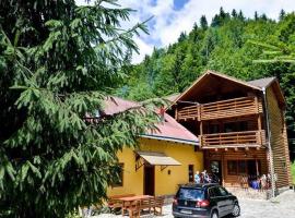 Cabana Bradul，位于Rodna的酒店