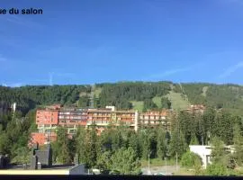 Appartement T4 esprit chalet jolie vue PRA LOUP 1600