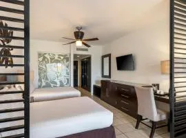 海洋珊瑚松绿石全包酒店