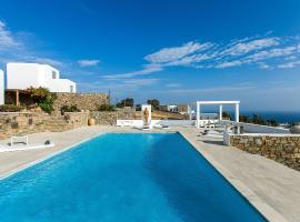 Amazing Villa 6bed in Agios Lazaros Mykonos，位于萨鲁的酒店