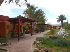 Elifaz Desert Experience Holiday