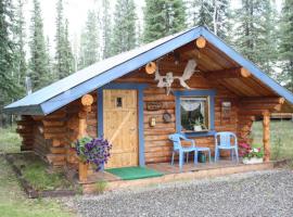 Fox n Fireweed Cabins，位于托克的住宿加早餐旅馆