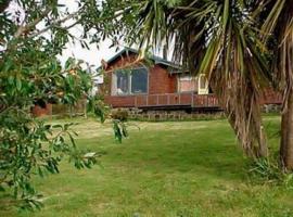 Cabañas Apart Hotel Las Golondrinas，位于安库德的酒店