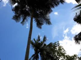 Monsoon Deniyaya holiday villa，位于代尼耶耶的酒店