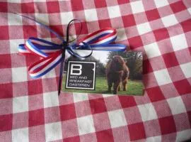 加斯特恩住宿加早餐旅馆