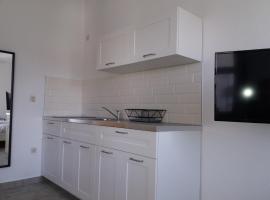 Apartments Jure，位于罗戈兹尼察的酒店