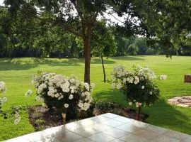 宜必思内斯特酒店