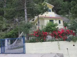 Eagle's nest