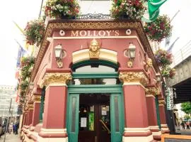 Molloys Apartments