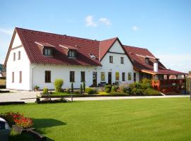 普拉克缇克克鲁姆洛夫旅馆，位于Přísečná的酒店