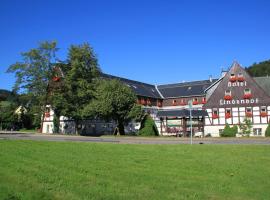Naturhotel Lindenhof，位于Rechenberg-BienenmühleHolzhau 1 Ski Lift附近的酒店