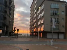 Nieuwpoortnachten res. Westdiep Dominique