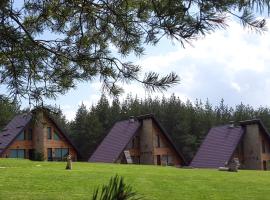 Forest Houses,Форест Хаусис，位于Godech的度假村