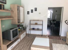 Apartma Mahnič，位于波斯托伊纳的酒店