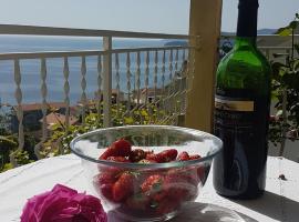 Apartmani Famelja Jovanovic，位于斯韦蒂·斯特凡的酒店
