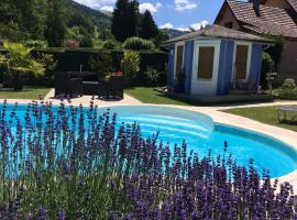 Gîte avec piscine CHEZ VÉRO，位于Breitenbach-Haut-Rhin的滑雪度假村