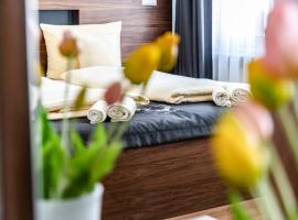 Hotel JÄGERHAUS in Singen am Hohentwiel，位于辛根的酒店