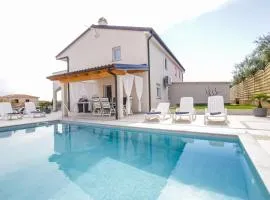 Villa Silver Novigrad with private pool