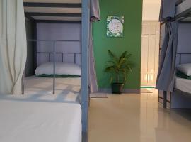 Green Turtle Backpackers Guesthouse, Puerto Princesa，位于公主港的青旅