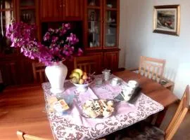 casa andreana