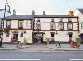 The Royal Oak Pub，位于兰彼得的酒店