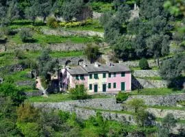 Villa Olivari - apt il Cedro