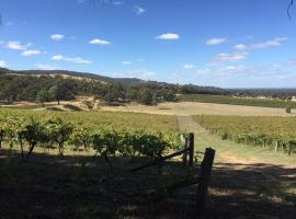 Warrenmang Winery & Resort，位于Moonambel的酒店
