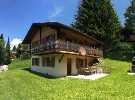 Chalet Gärlich，位于波尔琴的酒店