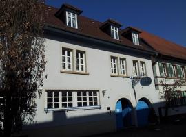 维和博霍诺格酒店，位于弗赖因斯海姆的酒店