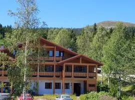 Solbjørnlia Apartments