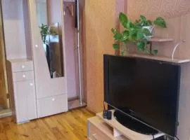 文茨皮尔斯公寓