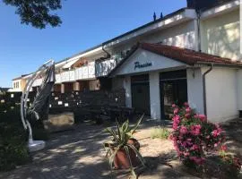 Pension " Zu den Linden" Trin