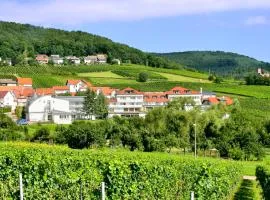 特瑞森素的普法兹酒店