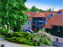 Hotel Rustikal，位于Horní Cerekev的酒店