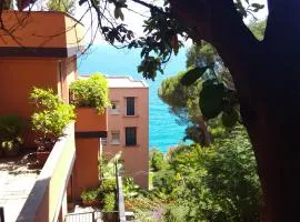 Casa delle mimose