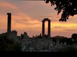 Medusa House Butik Hotel