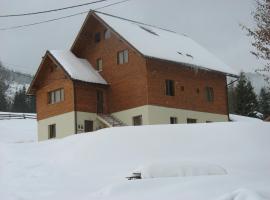 Pensiunea Aries，位于阿列谢尼瓦托普滑雪场附近的酒店