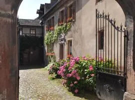 Les Hortensias