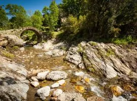 Transgardon B&B en Cévennes